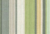 Waverly DRAW THE LINE SWA SPRING 680691 Tissu à rayures