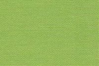 Swavelle Mill Creek Tissu d'ameublement d'extérieur tropical intérieur FRESCO APPLE GREEN